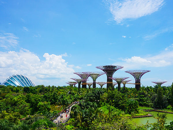 Gardens by the Bay